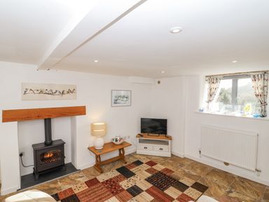 A living room with a fireplace and television at Swallow Cottage Bullhornstone near South Brent
