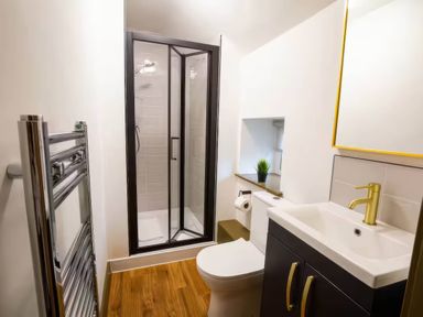 A bathroom with shower, sink, and toilet at White Willow Apartment in Llanrwst