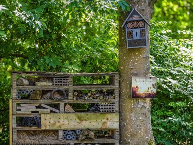 A bug hotel next to a sign on a tree at Leyburn (Pet) Aysgarth