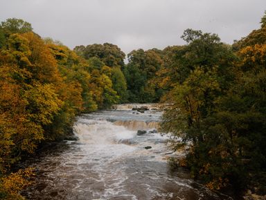 A river with waterfalls and trees at Leyburn (Pet) Aysgarth