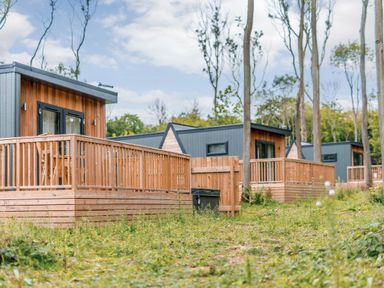 Cabins with wooden decks in a grassy area surrounded by trees at Tennyson Spa in Louth