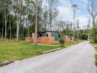 A group of cabins with pathways in a wooded area at Tennyson Spa (Pet) in Louth