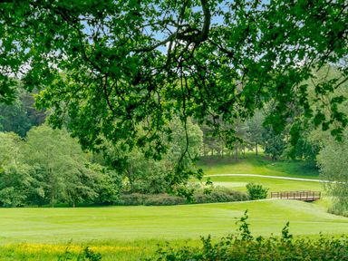 An outdoor landscape with trees and a bridge at Tennyson Spa (Pet) in Louth