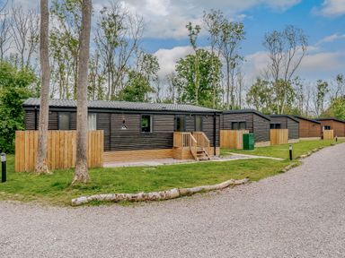 A row of cabins surrounded by trees and grass at Anderby Spa (Pet) in Louth