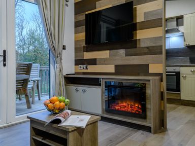 A living room with a television and fireplace at Anderby Spa (Pet) in Louth