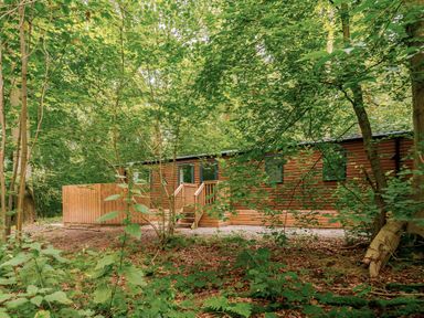 A wooden cabin in the forest at Alford Spa in Louth