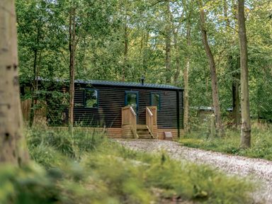A cabin in a wooded area at Horncastle Spa Louth