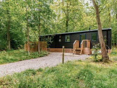 A cabin in a forested area at Horncastle Spa in Louth