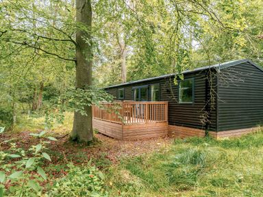 A house with a deck surrounded by trees at Horncastle Spa in Louth
