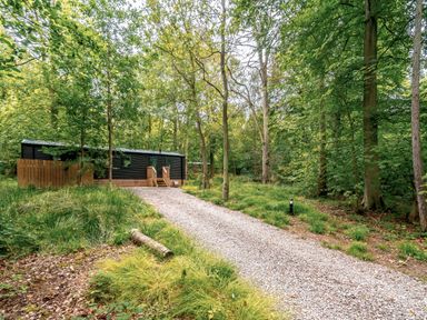 A cabin in a wooded area with a gravel path at Horncastle Spa in Louth