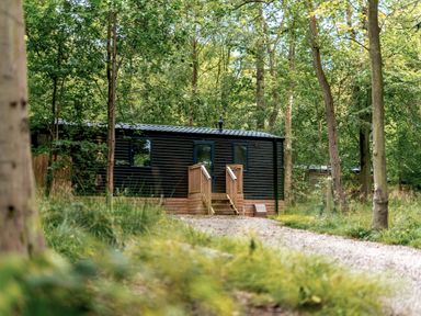 A cabin in the woods with steps at Horncastle Spa in Louth