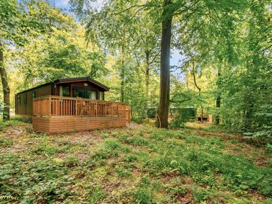 A cabin with a deck surrounded by trees at Alford Spa (Pet) in Louth
