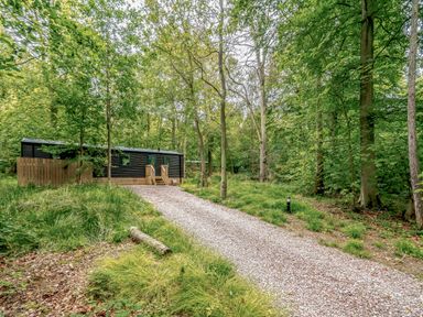 A cabin with a gravel path in the woods at Horncastle Plus (Pet) Louth