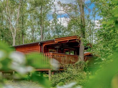 A cabin with a balcony surrounded by trees at Cedar Lodge in Louth