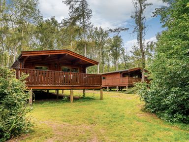 A log cabin with a deck surrounded by trees at Cedar Lodge in Louth