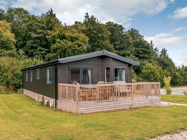 A cabin with a deck surrounded by grass and trees at Elsham Lodge in Louth