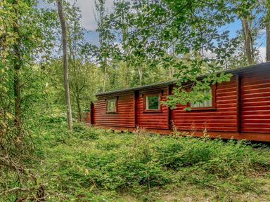 A log cabin surrounded by trees at Cedar Lodge (Pet) in Louth