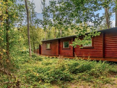 A log cabin surrounded by trees at Cedar Lodge (Pet) in Louth