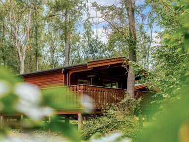 A cabin with a balcony surrounded by trees at Cedar Lodge (Pet) in Louth