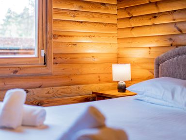 A bedroom with a wooden wall and a lamp on a nightstand at Cedar Lodge (Pet) in Louth