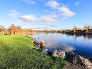 A lakeside view with grass and trees at Kingfisher Lodge