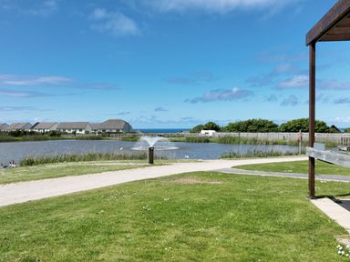 A pond with a fountain and nearby houses at Adelaide in Portreath