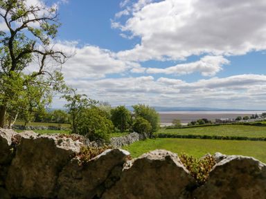 A view of a landscape with stone wall and trees at Little Hut in Grange-Over-Sands