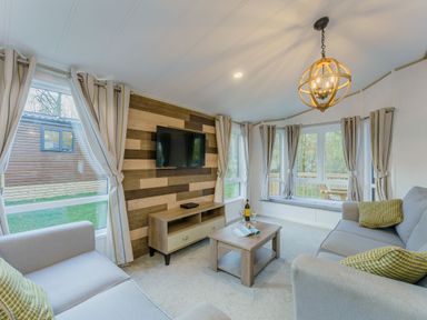 A living room with a television and sofa at Brayford Lodge (Pet) in Louth