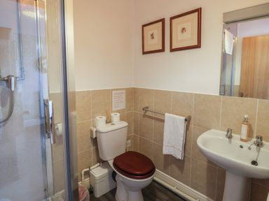 A bathroom with a shower, toilet, and sink at Winston Lodge in Beccles