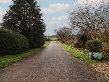 A pathway surrounded by bushes and trees at Winston Lodge in Beccles