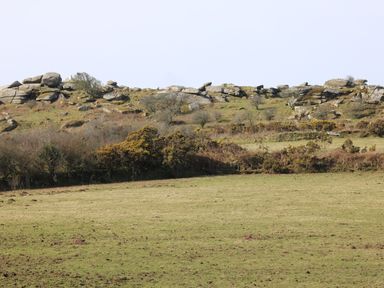 A grassy field with rocks and bushes at FW4 (Fairways 4) Doublebois near Dobwalls