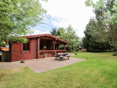 An outdoor area with a log cabin, picnic table, and surrounding trees at Little Bears Hideaway @ 23 Lakeside, Felmoor Park near Felton