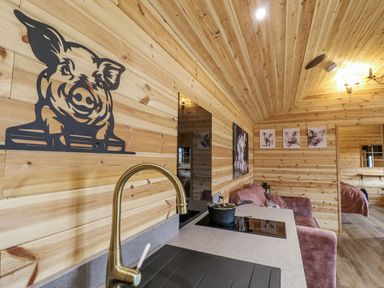 A kitchen with a sink and wall art at The Sty in Hatton, Derbyshire