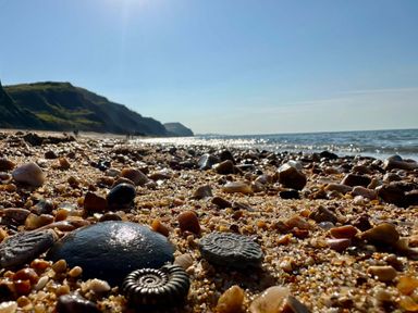 A beach with pebbles and sand at Rope Cottage in Bridport
