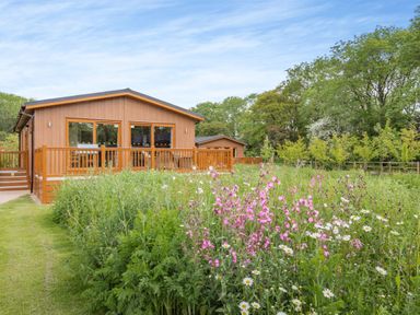 A cabin with a deck surrounded by grass and flowers at The Sutton (Pet) in Kings Cliffe
