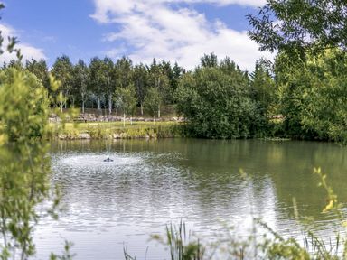 A pond with a fountain surrounded by trees at The Wansford in Kings Cliffe