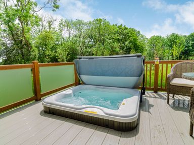 A hot tub on a deck with a view of trees at The Wansford (Pet) in Kings Cliffe