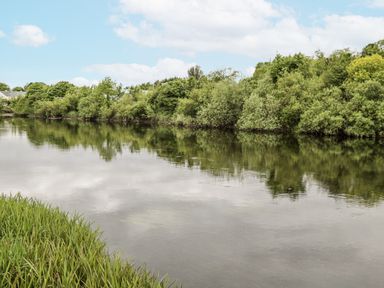 A river with trees and grass by the water at Glenview Log Cabin Ballycastle