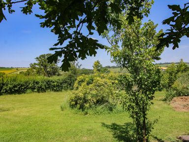 A garden with trees and grass at Dave’s Place in Broadstone near Munslow