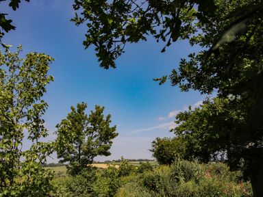 A view of trees and a blue sky at Leafy Oaks Cabin in Munslow