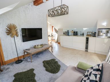 A living room with a television, sofa, and kitchen area at Rose Apartment, Old Walls, Llanrhidian, Gower