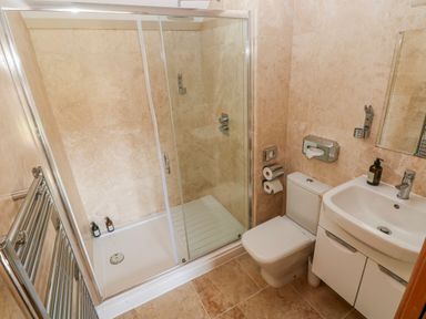 A bathroom with a shower, toilet, and sink at Willow Apartment Oldwalls, Llanrhidian, Gower