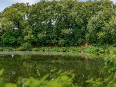 A pond with trees and a seating area at Cedar Spa Carlton Miniott near Thirsk