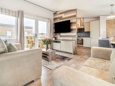 A living room with a television and sofa at Kinder Spa (Pet) Carlton Miniott near Thirsk