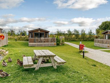 An outdoor area with cabins, picnic table, and ducks at Alder Waterside Spa (Pet) Carlton Miniott near Thirsk