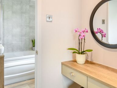 A bathroom with a mirror and plant at Spindle Spa (Pet) Carlton Miniott near Thirsk