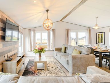 A living room with a sofa and television at Beech Waterside Spa (Pet) Carlton Miniott near Thirsk