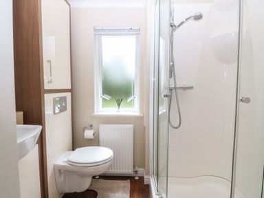 A bathroom with a shower, toilet, and sink at Plas Marchog Lodge in Rhoscefnhir near Pentraeth