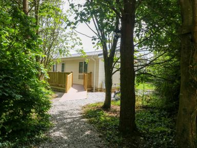 A house with a deck and pathway surrounded by trees at Plas Marchog Lodge in Rhoscefnhir near Pentraeth