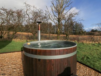 A hot tub with a rubber duck in an outdoor area at Harriet in Llangurig